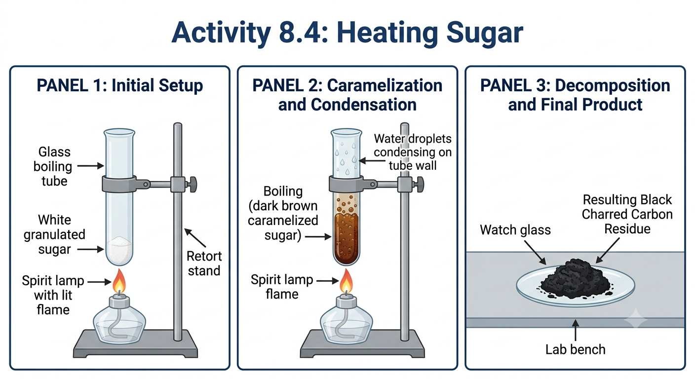 Activity 8.4 — heating sugar in a boiling tube: turns brown, chars, leaves carbon